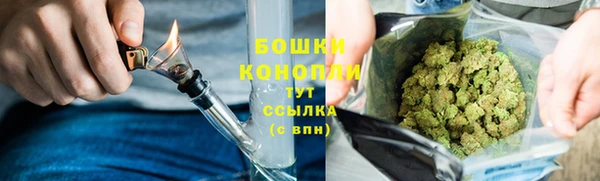 индика Пестово
