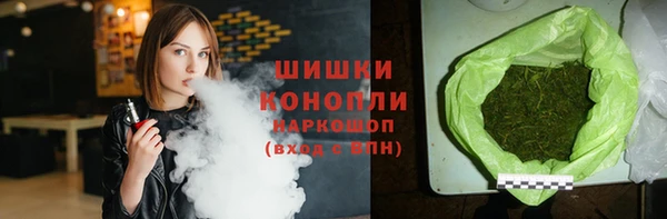 индика Пестово