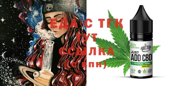 индика Пестово