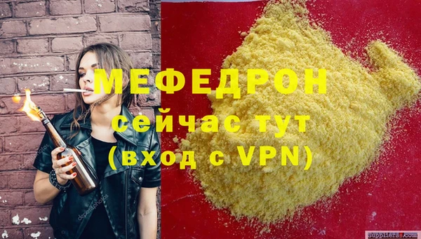 индика Пестово