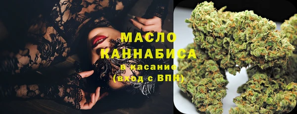 индика Пестово