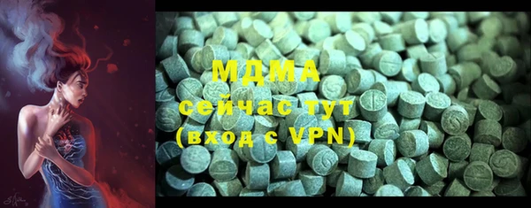 индика Пестово