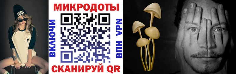 цена наркотик  kraken как зайти  Галлюциногенные грибы ЛСД  Аргун 