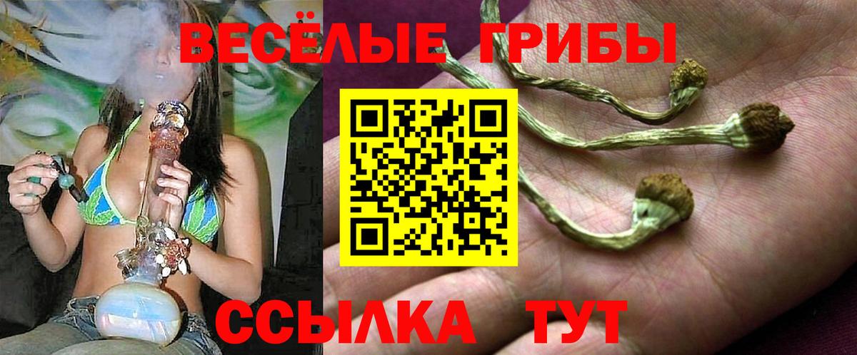 Псилоцибиновые грибы GOLDEN TEACHER  купить наркотик  Псилоцибиновые грибы Psilocybe  Аргун  Вход с VPN 