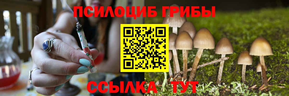 Галлюциногенные грибы Magic Shrooms  Аргун 