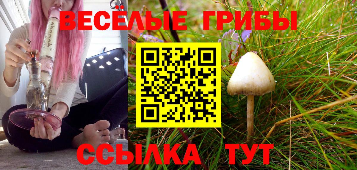Псилоцибиновые грибы ЛСД Аргун