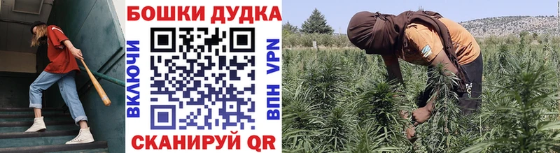 МАРИХУАНА планчик закладка дарк нет как зайти Аргун